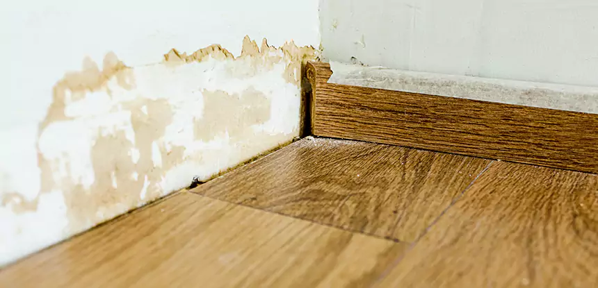 Professional Fix Water Damaged Wood Services in Powder Springs, GA
